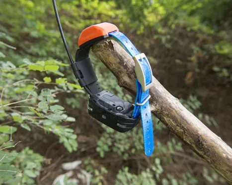 Garmin T5 Tracking Collar Garmin T5s Smart Watch Review Garmin T5