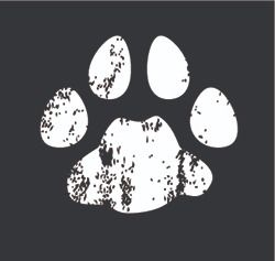 Cat Print-White