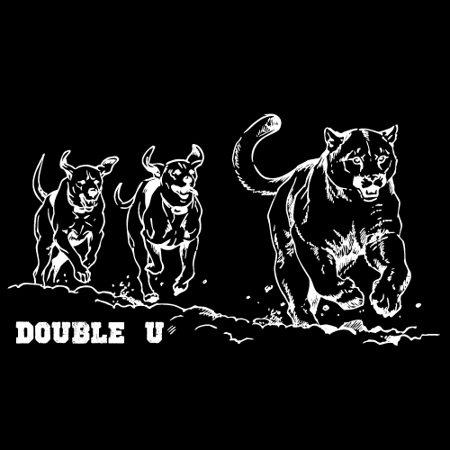 Chasing Cougar-White