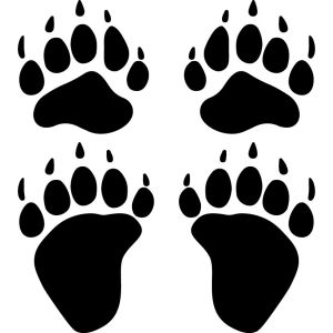 Double U Bear Tracks Decal