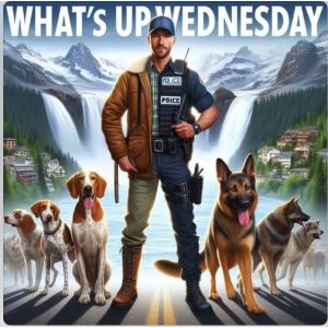 Song: Drop the Tailgate before light