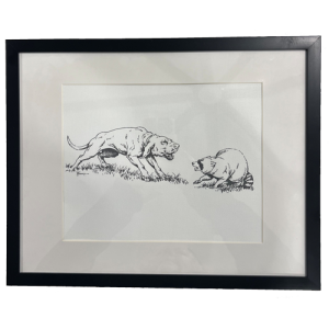 Raccoon Bayed - Tom Mansanarez DU Canvas Print