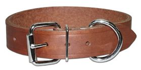 Leather 1" Bully D-Ring Collar 