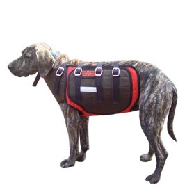 Defender Catch Vest