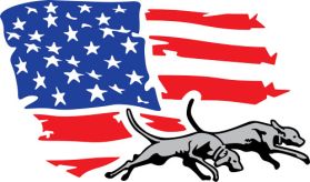 Double U Hunting Supply Ol' Glory Premium Decal