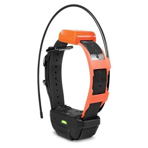 Dogtra Pathfinder TRX GPS-Only Collar | Add-On Dog Collars