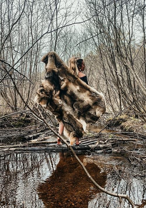 Predator control = Coyote Hide Blanket