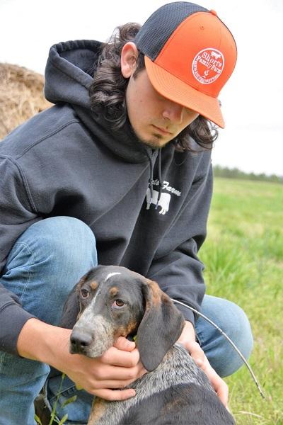 How Should I Train My Deer Dog?