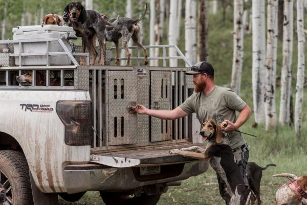 DOG BOXES... DIY OR CUSTOM BUILD?