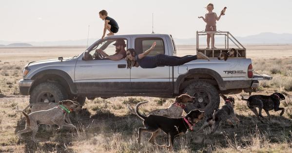 Amanda Clark Biography