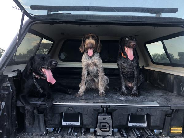 Tips For the Traveling Houndsman