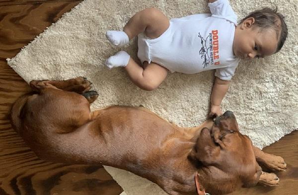 A PUPPY AND KIDS, CAN IT BE EASY?