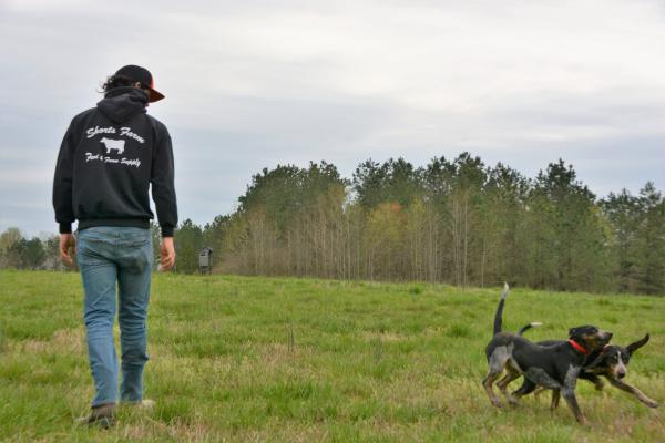 Why the Beagle?