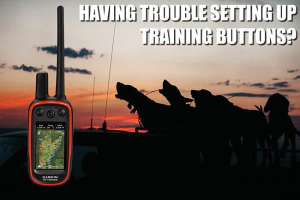 How To Set Up the Training Keys on the Garmin Alpha