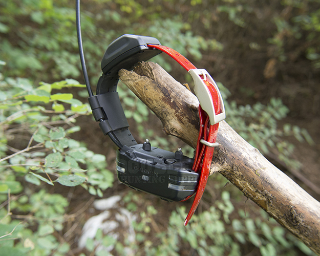 Garmin Alpha MINI TT 15 GPS Track & Train Collar Double U