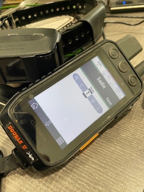 Should you update your Garmin Alpha 200i to version 3.3