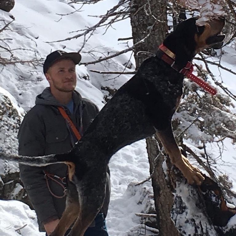 Justin Hulet Biography