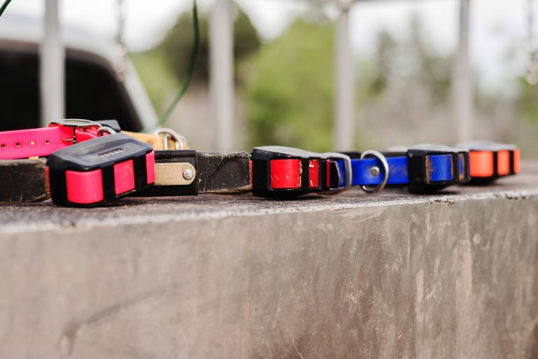 How to Make the Most Of Your Upcoming Season With This Pre-Season Checklist