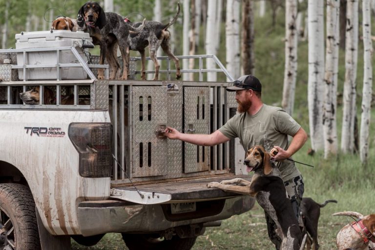 DOG BOXES... DIY OR CUSTOM BUILD? Double U Hunting Supply