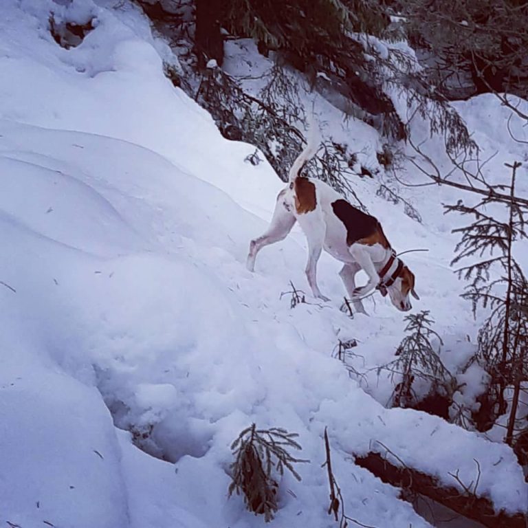 Body Language: What are you actually conveying?