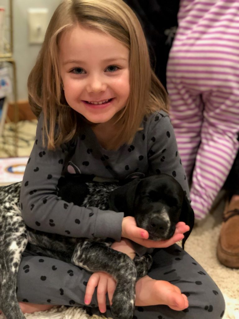 Providing structure for your puppy