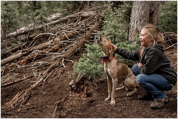 Introducing Kids to Hounds... how we do things around here!