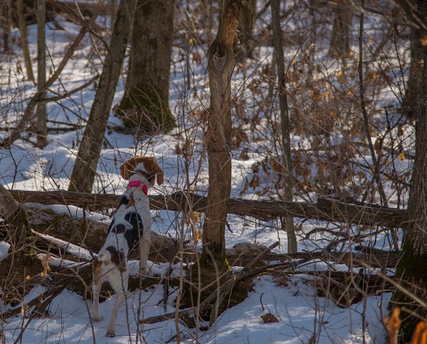 Want to Make 2022 A Year to Remember? Here’s 5 New Year’s Resolutions to Help Get You Started